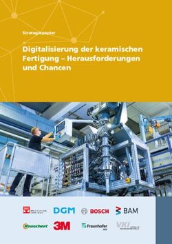 Digitalisierung der keramischen Fertigung - Herausforderungen und Chancen - Strategiepapier