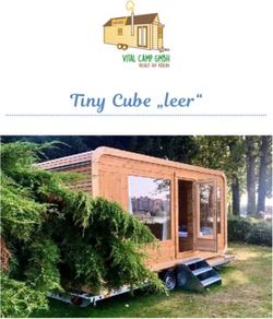 Tiny Cube "leer" - Mobiles Tiny Haus