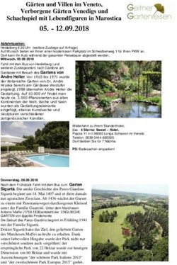 Gärten und Villen im Veneto, Verborgene Gärten Venedigs und Schachspiel mit Lebendfiguren in Marostica - Geitner Gartenreisen