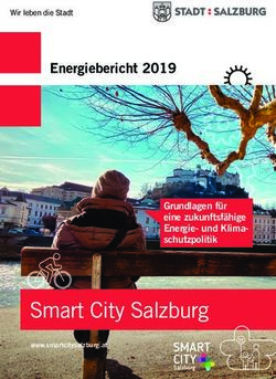 Smart City Salzburg - Energiebericht 2019 - Grundlagen f&uuml;r eine zukunftsf&auml;hige Energie- und Klima-schutzpolitik - Stadt Salzburg
