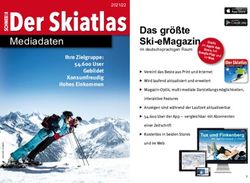 Das gr&ouml;&szlig;te Ski-eMagazin - SRT-Verlag