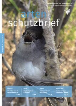INTERVIEW Ohne V&ouml;gel w&auml;re die Welt ein &auml;rmerer Ort - Komitee gegen den Vogelmord