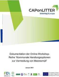 Dokumentation der Online-Workshop-Reihe "Kommunale Handlungsoptionen zur Vermeidung von Meeresm&uuml;ll" - www.interregeurope.eu/caponlitter