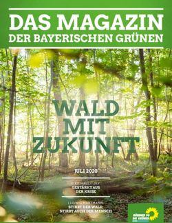 DAS MAGAZIN DER BAYERISCHEN GR&Uuml;NEN - JULI 2020