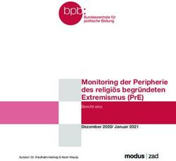 MONITORING DER PERIPHERIE DES RELIGIÖS BEGRÜNDETEN EXTREMISMUS (PRE) - BERICHT EINS