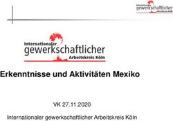 Erkenntnisse und Aktivitäten Mexiko - VK 27.11.2020 Internationaler gewerkschaftlicher Arbeitskreis Köln