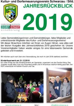 2019 JAHRESR&Uuml;CKBLICK Kultur- und Dorferneuerungsverein Schwarzau / Stfd - und Dorferneuerungsverein Schwarzau am Steinfeld