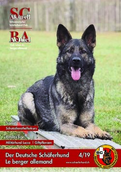 Aktuell Actuel 4/19 - Schaeferhund.ch