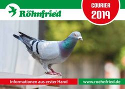 2019 Courier - Informationen aus erster Hand