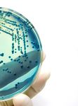 RESISTENZBERICHT 2020 - Resistenzverhalten von Bakterien und Pilzen gegen&uuml;ber Antibiotika und Antimykotika - Medizinische Universit&auml;t Innsbruck