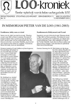 IN MEMORIAM PIETER VAN DE LOO (1941-2003) - Loo Archief