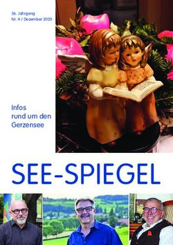 SEE-SPIEGEL Infos rund um den Gerzensee