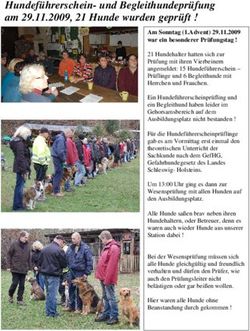 Hundef&uuml;hrerschein- und Begleithundepr&uuml;fung am 29.11.2009, 21 Hunde wurden gepr&uuml;ft !