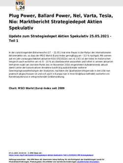 Plug Power, Ballard Power, Nel, Varta, Tesla, Nio: Marktbericht Strategiedepot Aktien Spekulativ - NTG24
