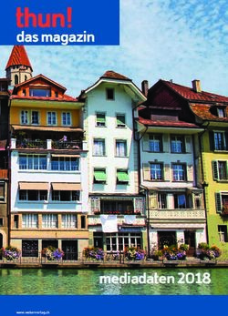 Das magazin - mediadaten 2018 - Stadt Thun