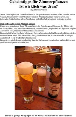 Geheimtipps für Zimmerpflanzen Ist wirklich was dran?