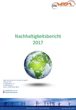 Nachhaltigkeitsbericht 2017 - Vega International Car ...