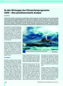Zu den Wirkungen des Klimaschutzprogramms 2030 - Eine pico&ouml;konomische Analyse - energie.de