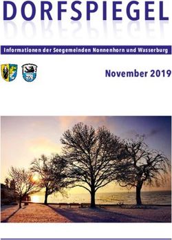 DORFSPIEGEL November 2019 - Informationen der Seegemeinden Nonnenhorn und Wasserburg - Canvayo