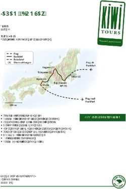 JAPAN "BONSAI" - sunny-dreams Reisebüro