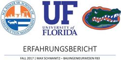 ERFAHRUNGSBERICHT FALL 2017 | MAX SCHWANITZ - BAUINGENIEURWESEN FB3 - TH OWL