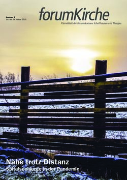 N&auml;he trotz Distanz Spitalseelsorge in der Pandemie - Pfarreiblatt der Bistumskantone Schaffhausen und Thurgau - forumKirche