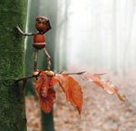 Regional - Schwabachbogen