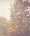 Regional - Schwabachbogen