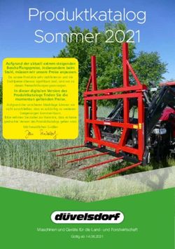 Produktkatalog Sommer 2021 - D&uuml;velsdorf ...