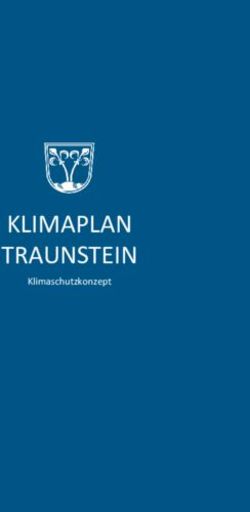 KLIMAPLAN TRAUNSTEIN Klimaschutzkonzept