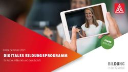 DIGITALES BILDUNGSPROGRAMM - Online-Seminare 2021 - IG Metall Ostsachsen