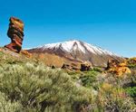 Spanien Teneriffa Tropengarten am Fuße des Teide - Reisenummer HNA LR 2022 DER FL16 - Reise-Spezialisten.com