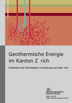 Geothermische Energie im Kanton Zürich - Potenziale und Technologien zur Nutzung von Erdwärme