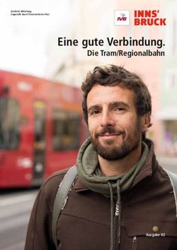Eine gute Verbindung - Die Tram/Regionalbahn - Ausgabe 02 - IVB