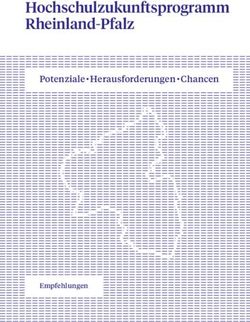 Hochschulzukunftsprogramm Rheinland-Pfalz - Potenziale Herausforderungen Chancen - rlp.de