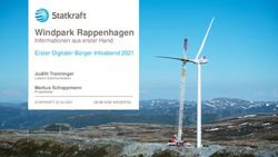 Windpark Rappenhagen Informationen aus erster Hand Erster Digitaler B&uuml;rger-Infoabend 2021 - Statkraft