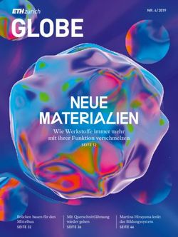 NEUE MATERIALIEN Wie Werkstoffe immer mehr mit ihrer Funktion verschmelzen - NR. 4/2019 - ETH Z&uuml;rich