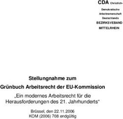 Stellungnahme zum Gr&uuml;nbuch Arbeitsrecht der EU-Kommission