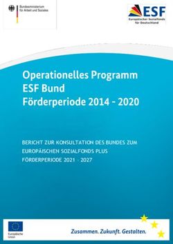 BERICHT ZUR KONSULTATION DES BUNDES ZUM EUROP&Auml;ISCHEN SOZIALFONDS PLUS F&Ouml;RDERPERIODE 2021 2027