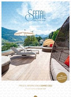 PREISE & INFORMATIONEN SOMMER 2020 - IM ZILLERTAL - Alpin Family Resort ...
