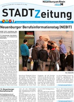 STADT Zeitung - Stadt Neuenburg am Rhein