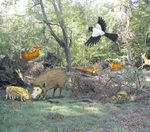 Die Berliner Kinder- und Familienzeitung - M&auml;rz | April 2015