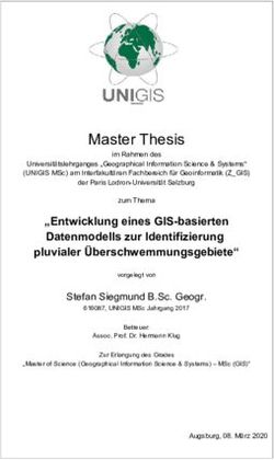 Master Thesis - Uni Salzburg