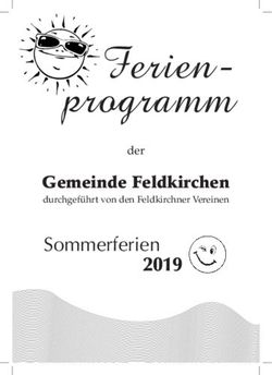 Ferien-programm - Sommerferien 2019 Gemeinde Feldkirchen