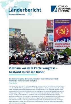 Vietnam vor dem Parteikongress - Gest&auml;rkt durch die Krise?