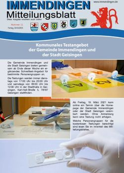 Kommunales Testangebot der Gemeinde Immendingen und der Stadt Geisingen - in der Gemeinde Immendingen