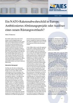 Ein NATO-Raketenabwehrschild in Europa: Ambitioniertes Abr&uuml;stungsprojekt oder Ausl&ouml;ser eines neuen R&uuml;stungswettlaufs?