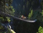 Via Spluga Kultur- und Weitwanderweg