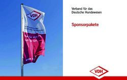 Sponsorpakete Verband f&uuml;r das Deutsche Hundewesen - Hund & Pferd