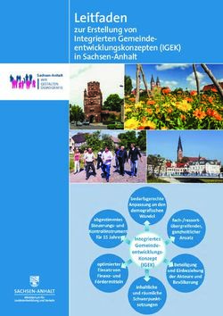 Leitfaden zur Erstellung von Integrierten Gemeinde-entwicklungskonzepten (IGEK) in Sachsen-Anhalt